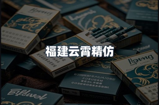 福建云霄精仿